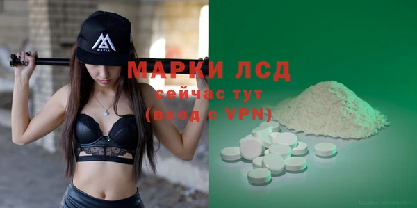 стафф Алзамай