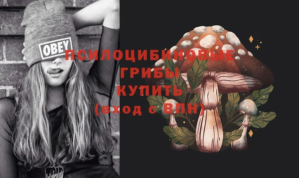 скорость Алексеевка