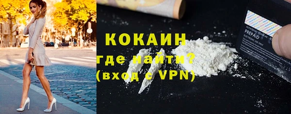 стафф Алзамай